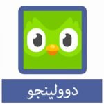 تحميل برنامج دولينجو للكمبيوتر مجانا لتعلم اللغات